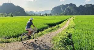 Northern Vietnam Biking Tour 7 Days